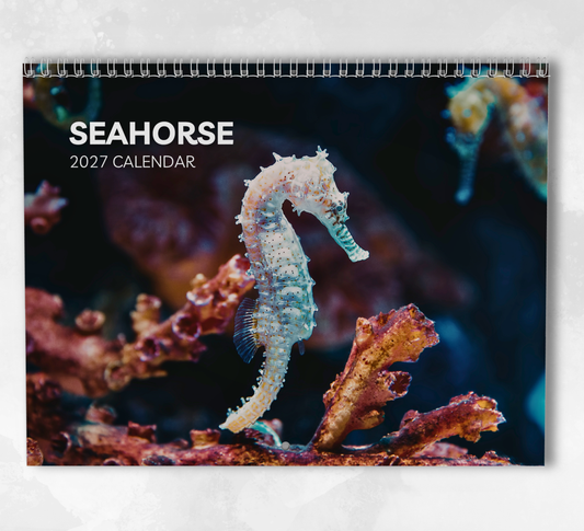 Seahorse Calendar 2027