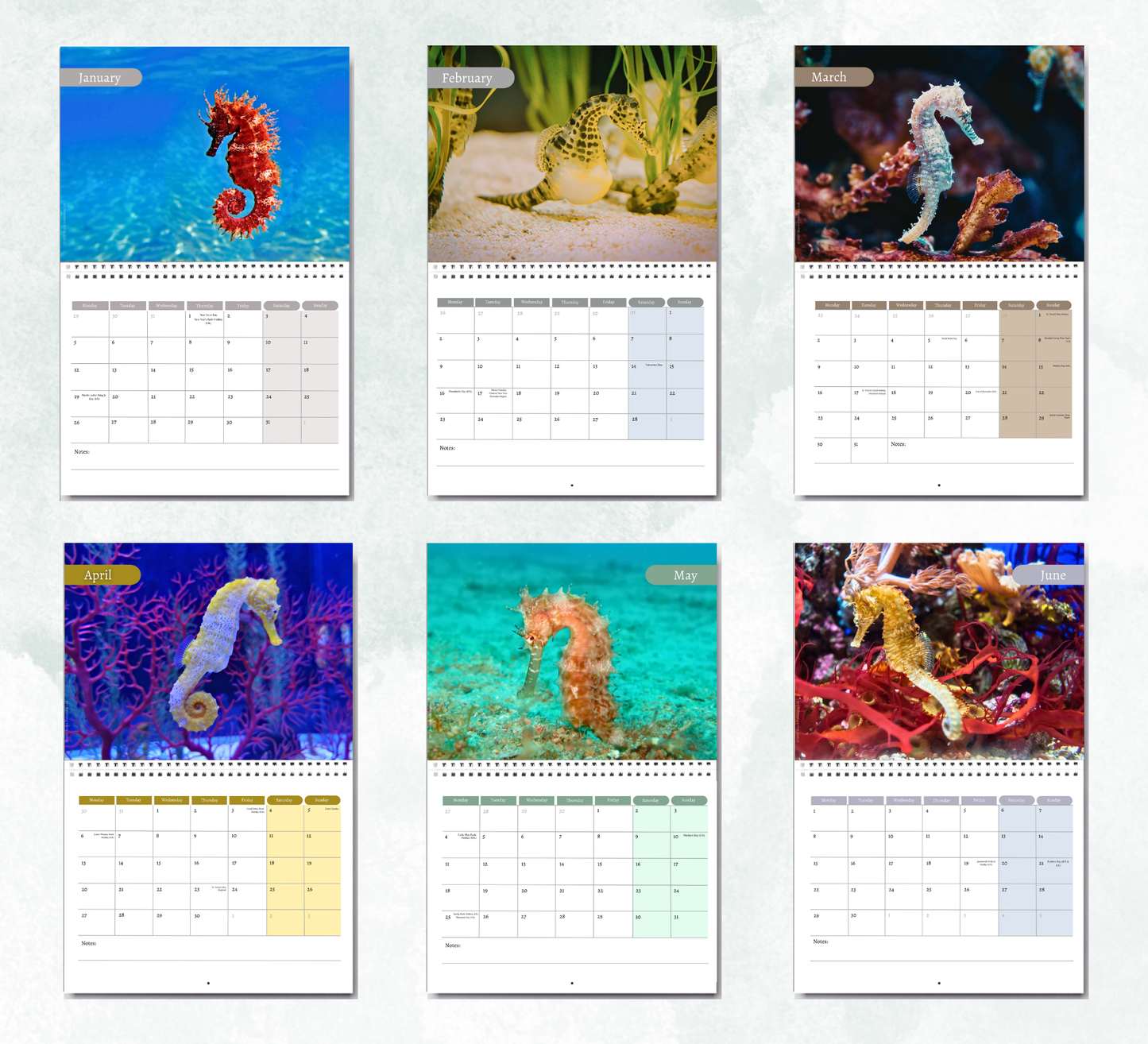 Seahorse Calendar 2027