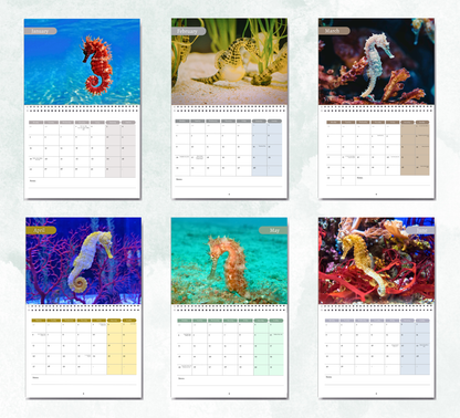 Seahorse Calendar 2027
