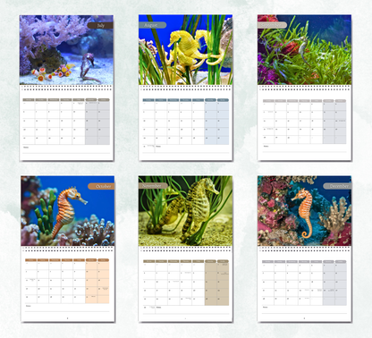 Seahorse Calendar 2027