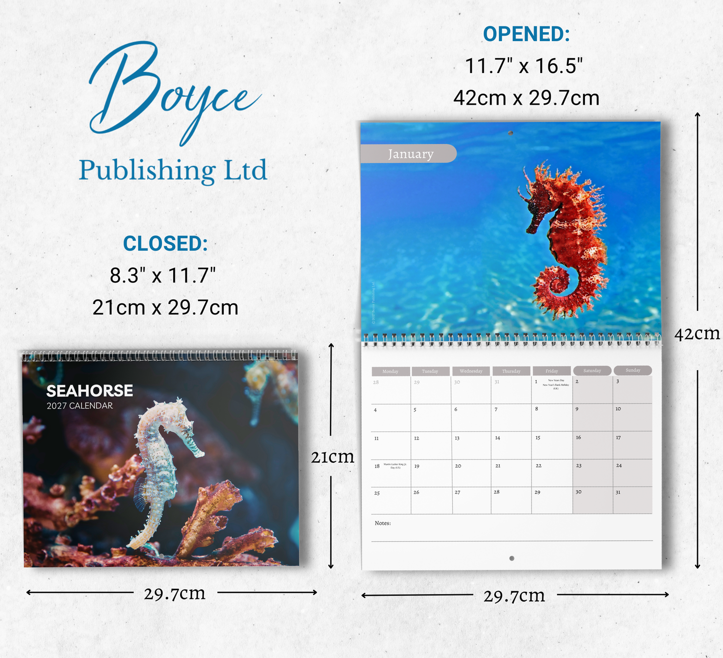Seahorse Calendar 2027