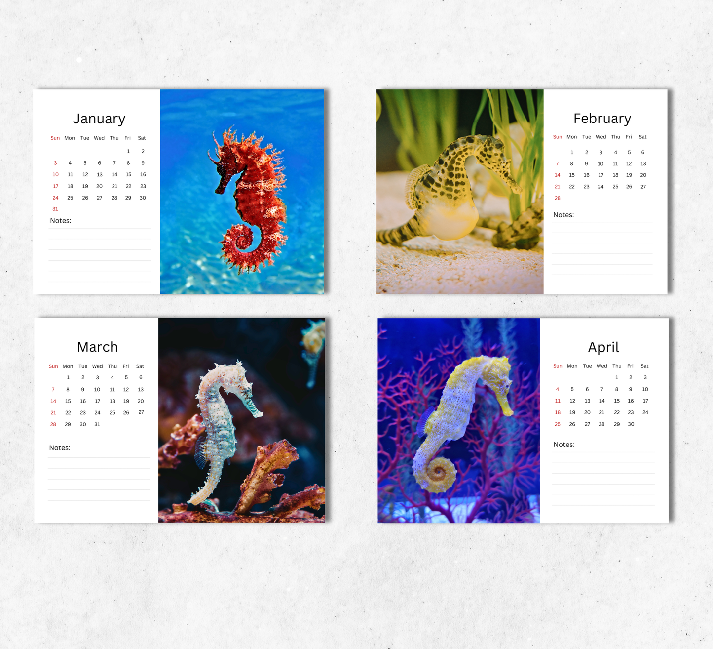 Seahorse Desk Calendar 2027-2028