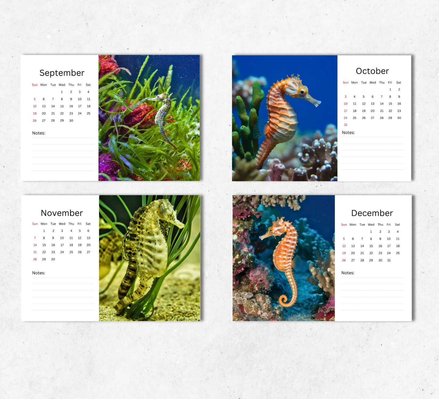Seahorse Desk Calendar 2027-2028