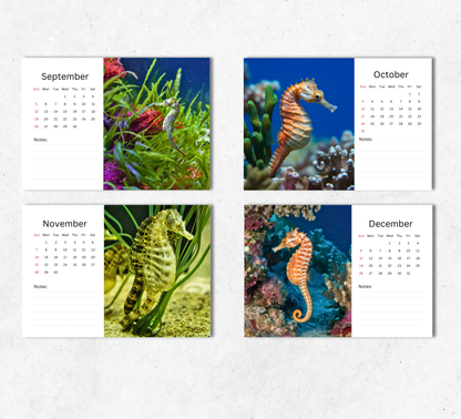 Seahorse Desk Calendar 2027-2028