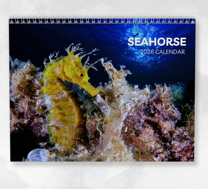 Seahorse Calendar 2026