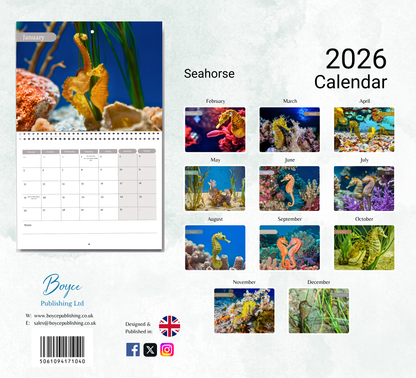 Seahorse Calendar 2026