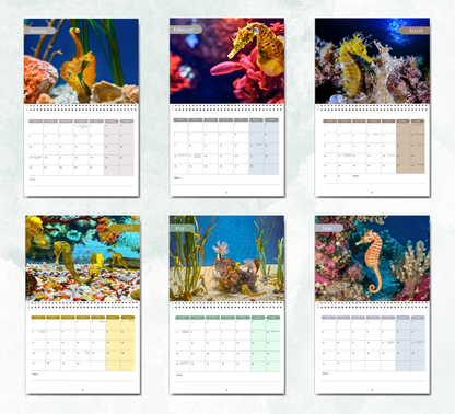 Seahorse Calendar 2026