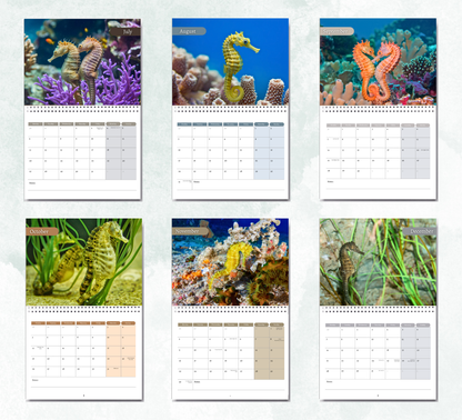 Seahorse Calendar 2026