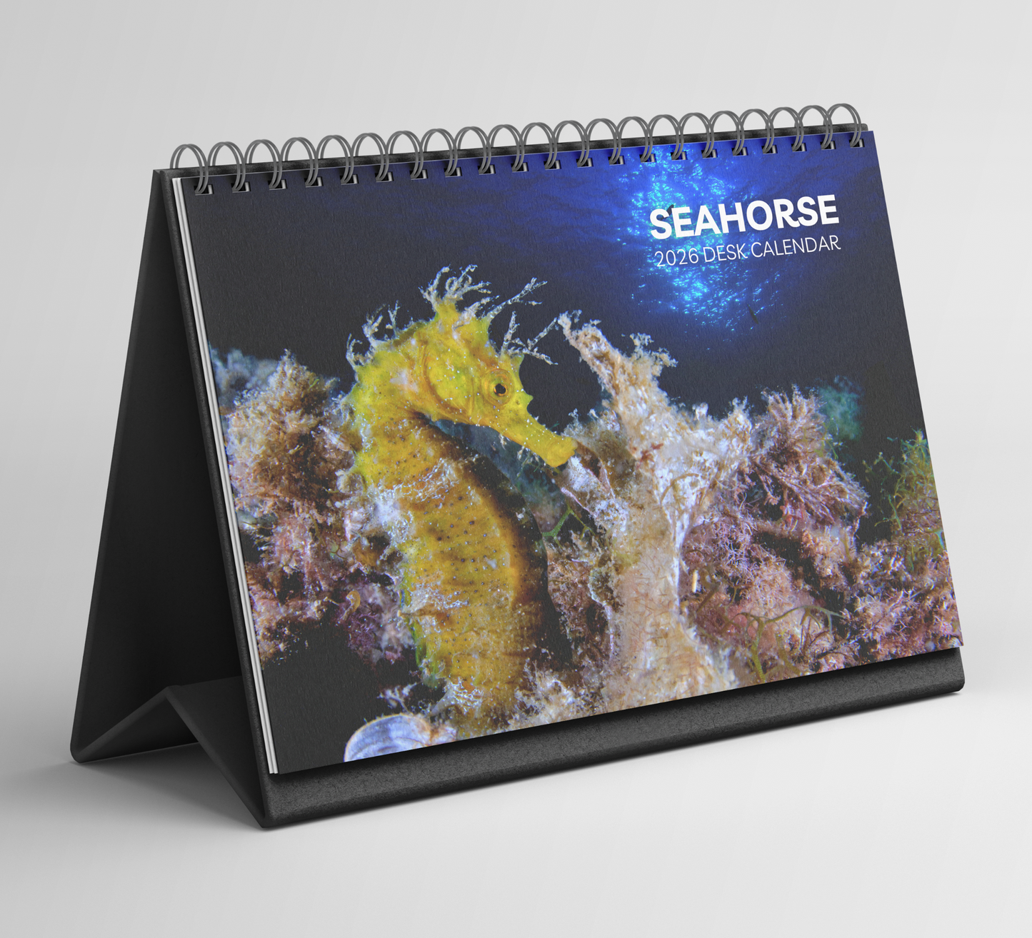 Seahorse Desk Calendar 2026-2027