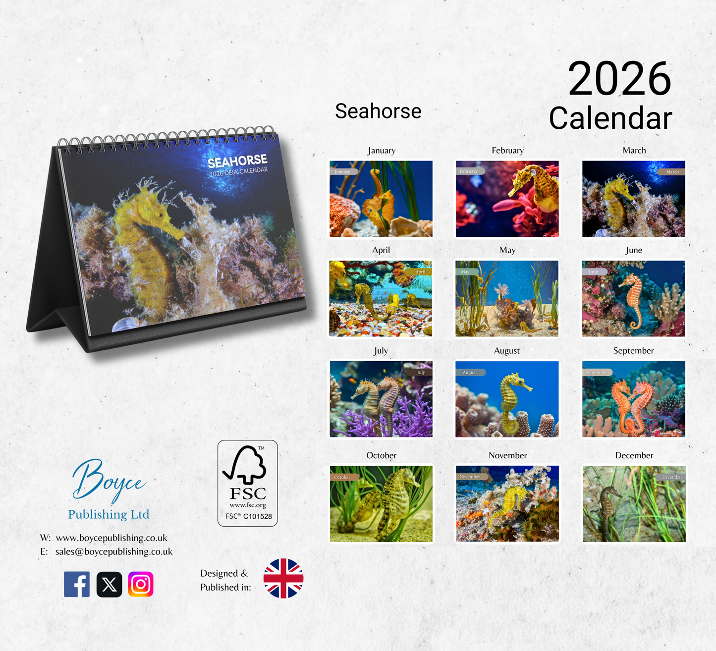 Seahorse Desk Calendar 2026-2027