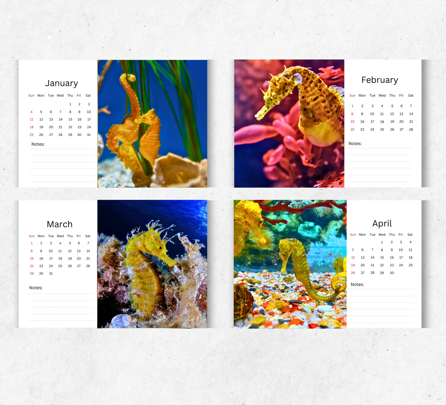 Seahorse Desk Calendar 2026-2027