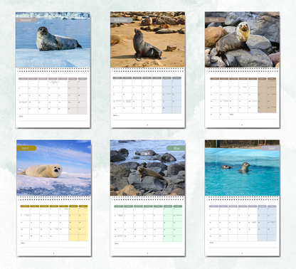 Seal Calendar 2027