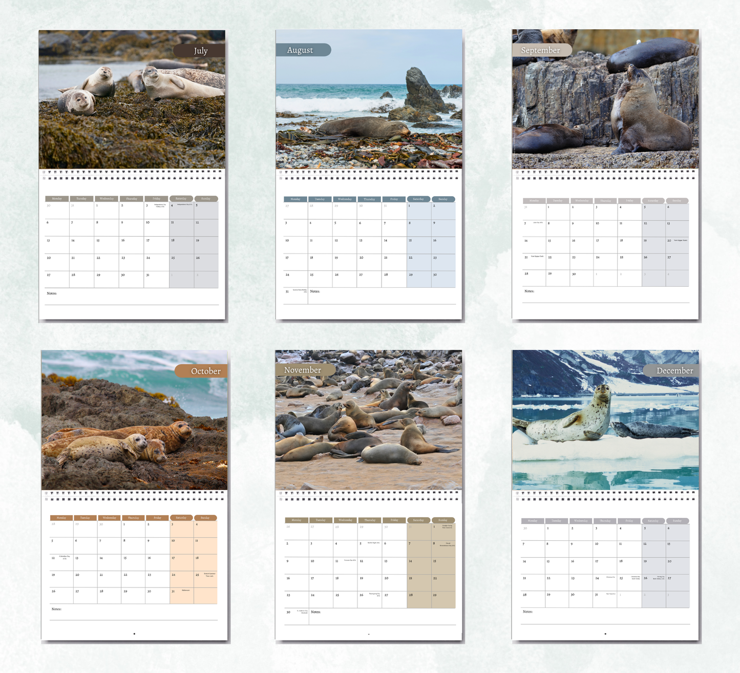 Seal Calendar 2027