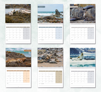 Seal Calendar 2027