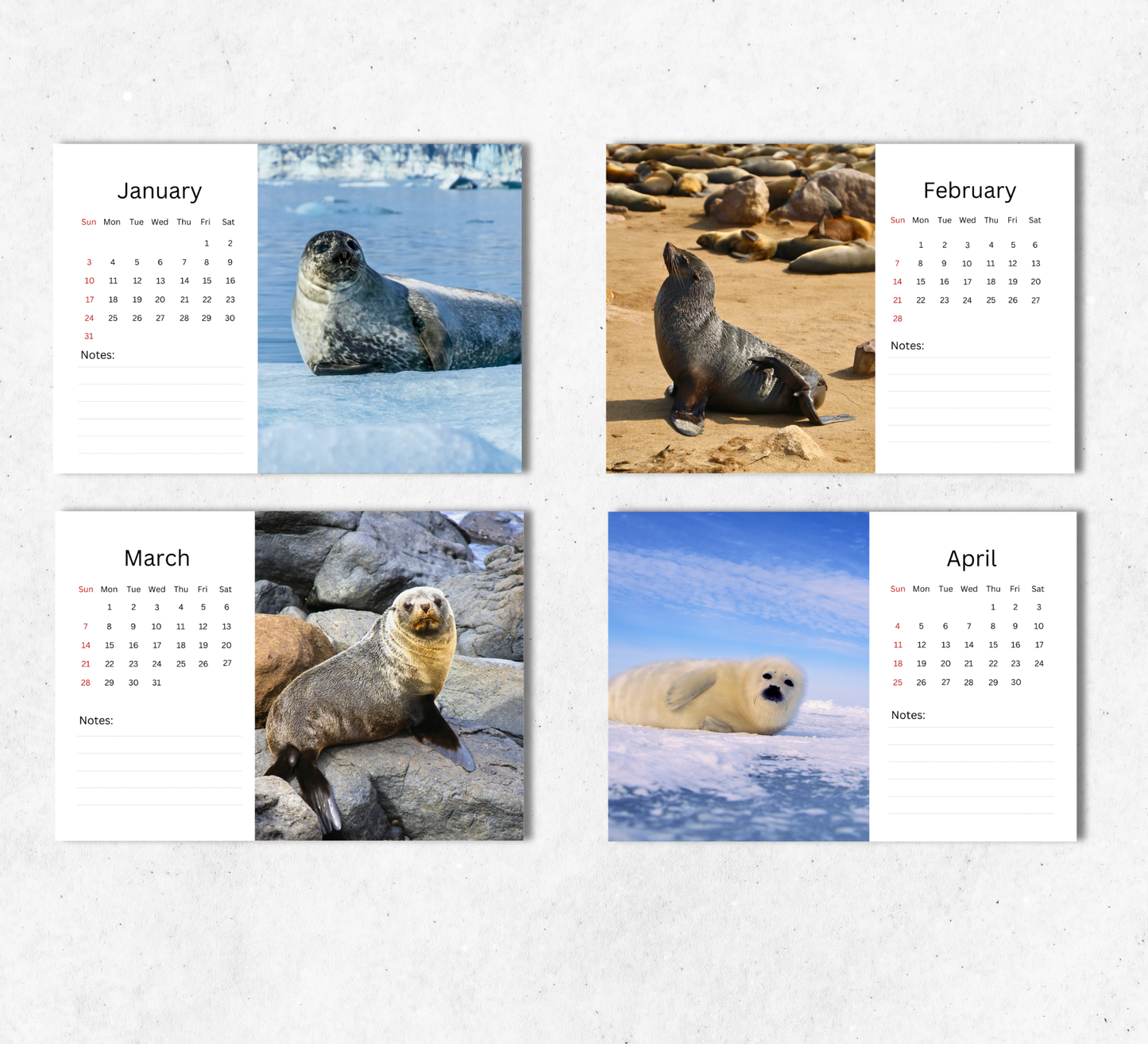 Seal Desk Calendar 2027-2028