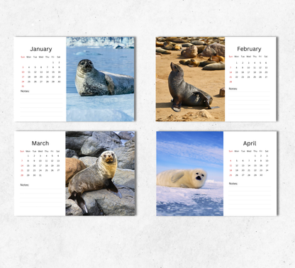 Seal Desk Calendar 2027-2028