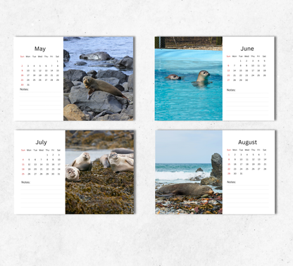 Seal Desk Calendar 2027-2028