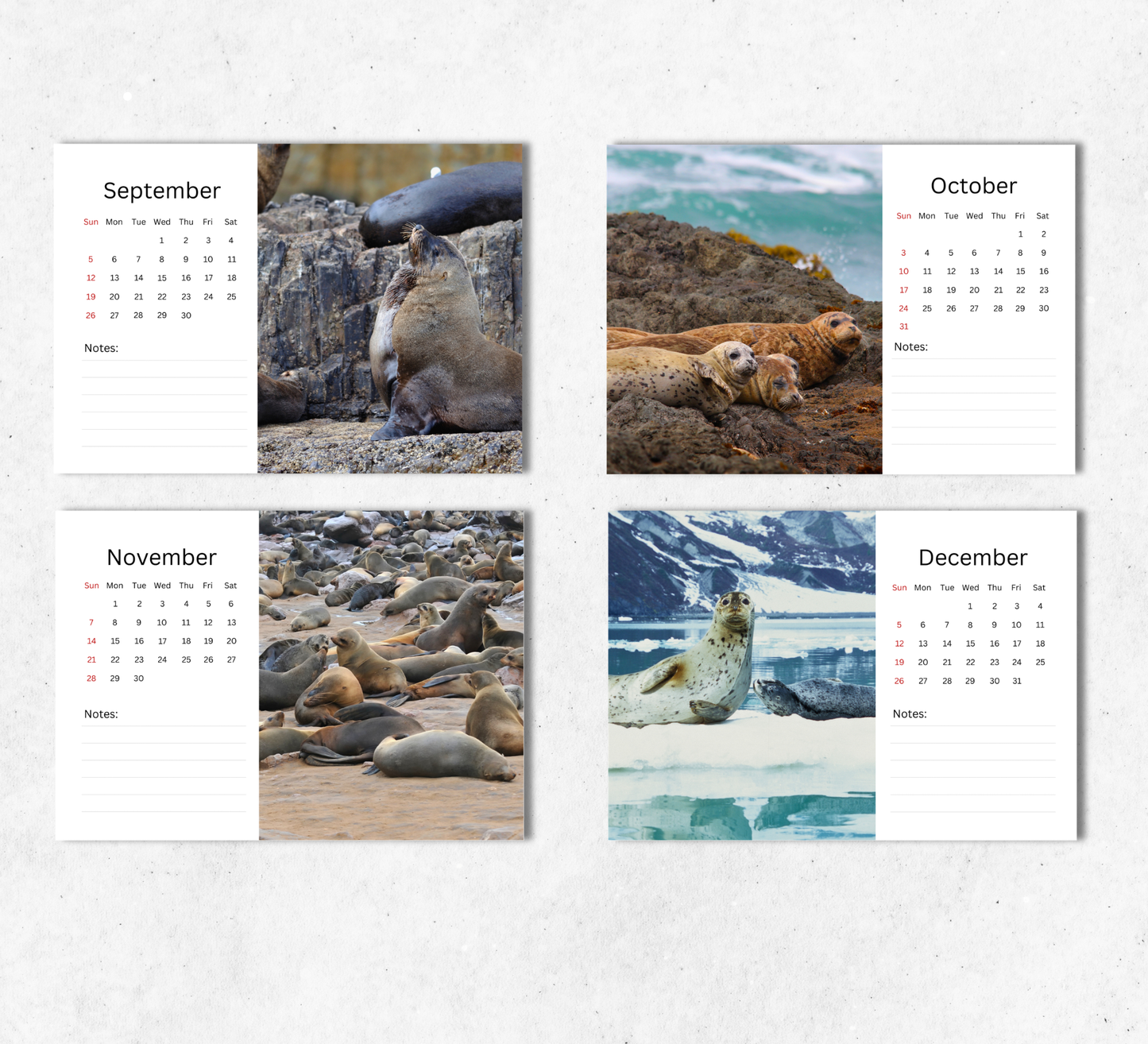 Seal Desk Calendar 2027-2028