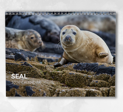 Seal Calendar 2026