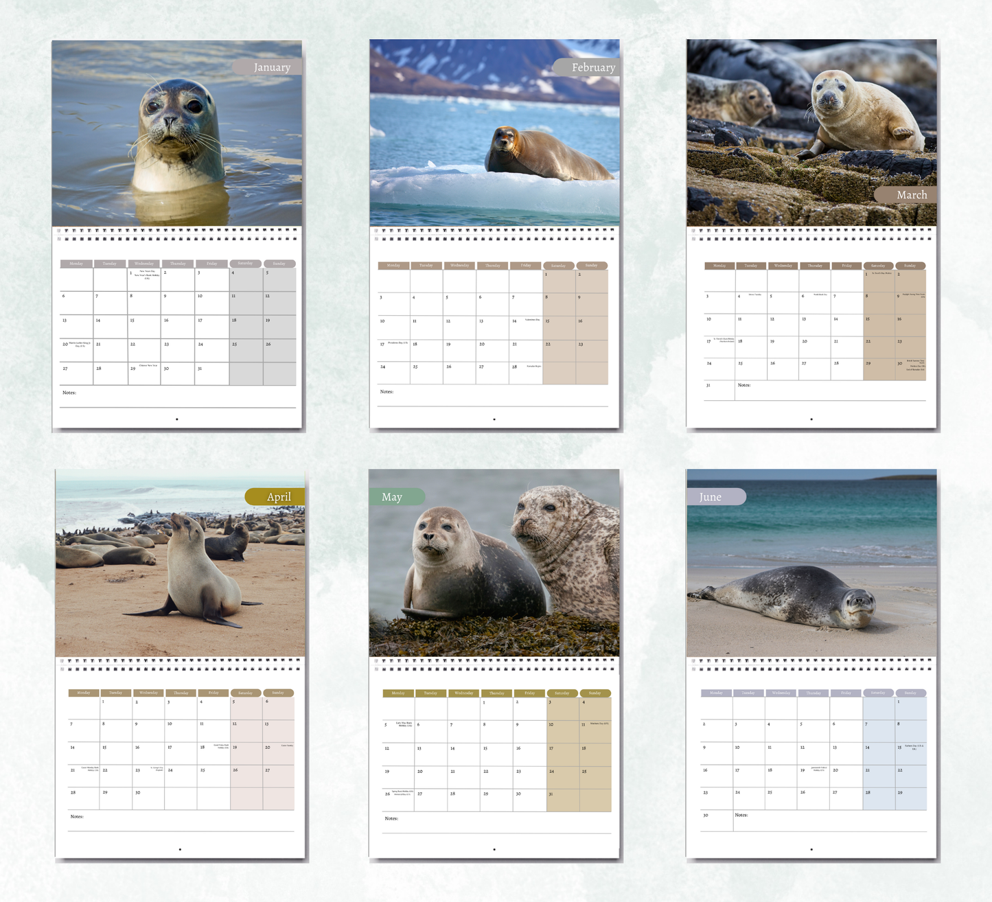 Seal Calendar 2026