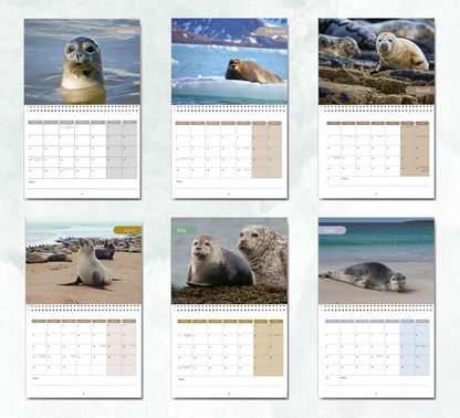 Seal Calendar 2026