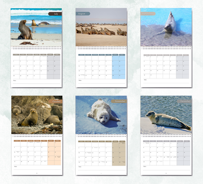 Seal Calendar 2026
