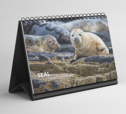 Seal Desk Calendar 2026-2027