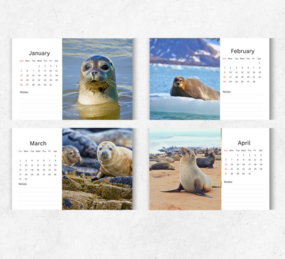 Seal Desk Calendar 2026-2027