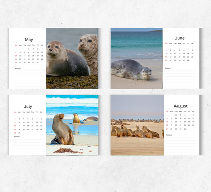 Seal Desk Calendar 2026-2027