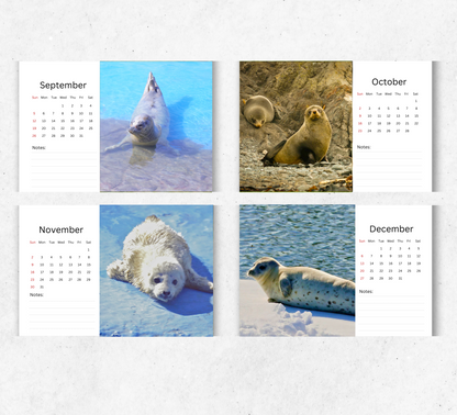 Seal Desk Calendar 2026-2027