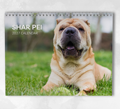 Shar Pei Calendar 2027