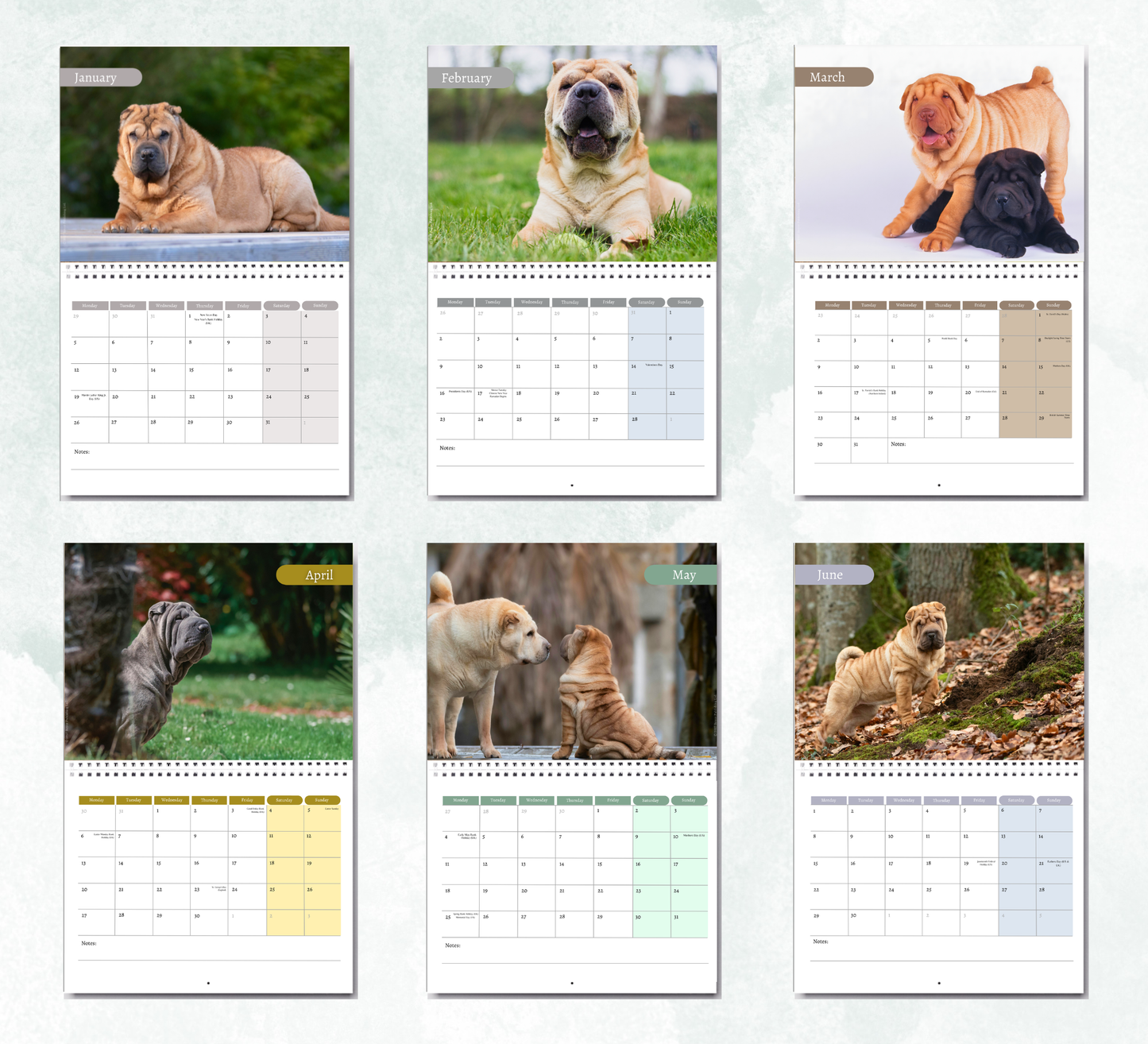 Shar Pei Calendar 2027