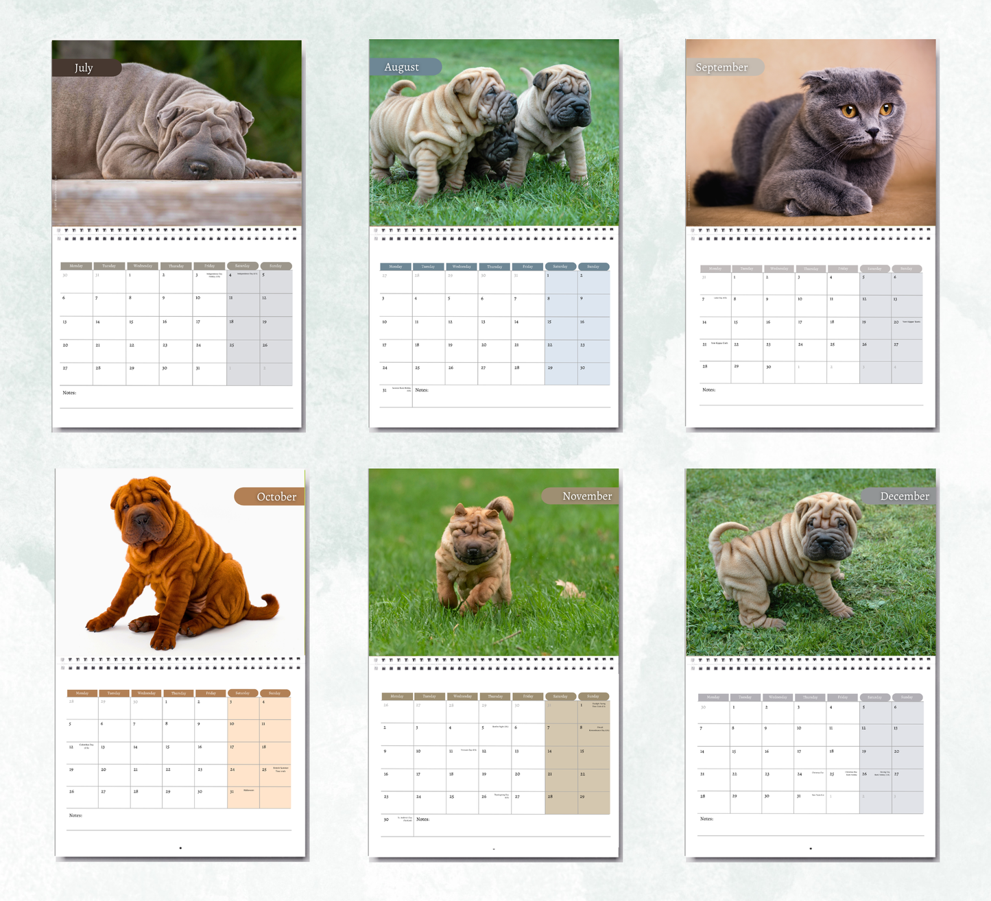 Shar Pei Calendar 2027