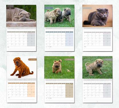 Shar Pei Calendar 2027