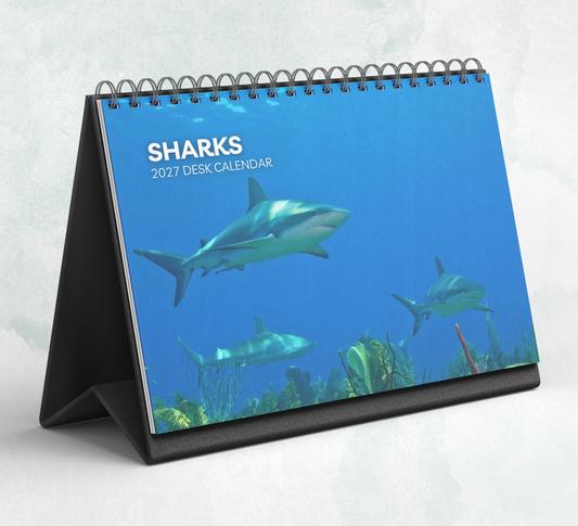 Shark Desk Calendar 2027-2028