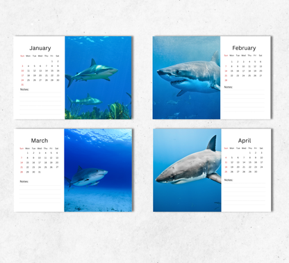 Shark Desk Calendar 2027-2028