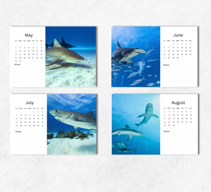 Shark Desk Calendar 2027-2028