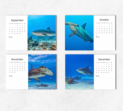 Shark Desk Calendar 2027-2028