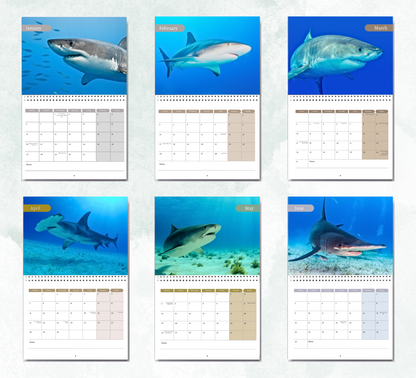 Shark Calendar 2026