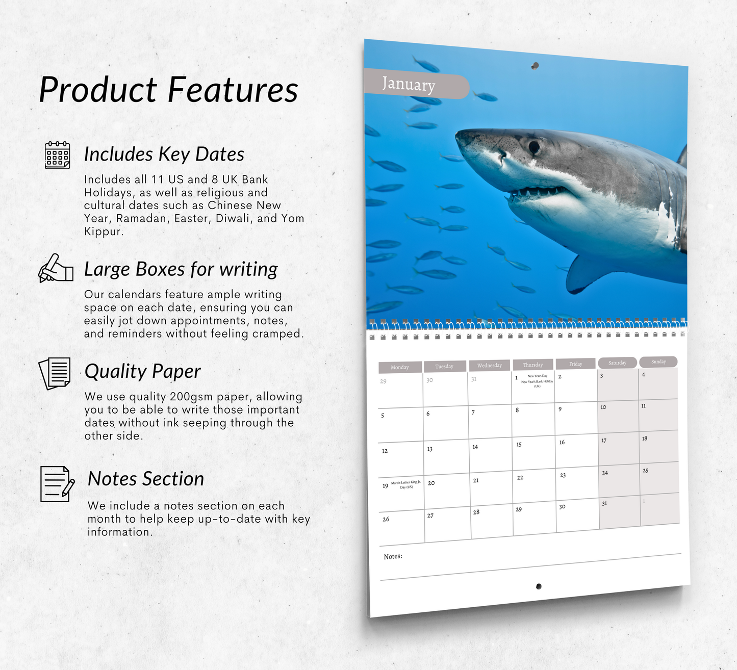 Shark Calendar 2026