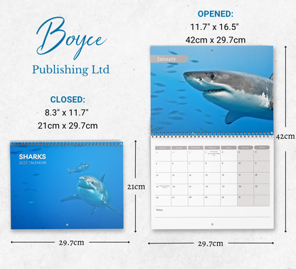 Shark Calendar 2026