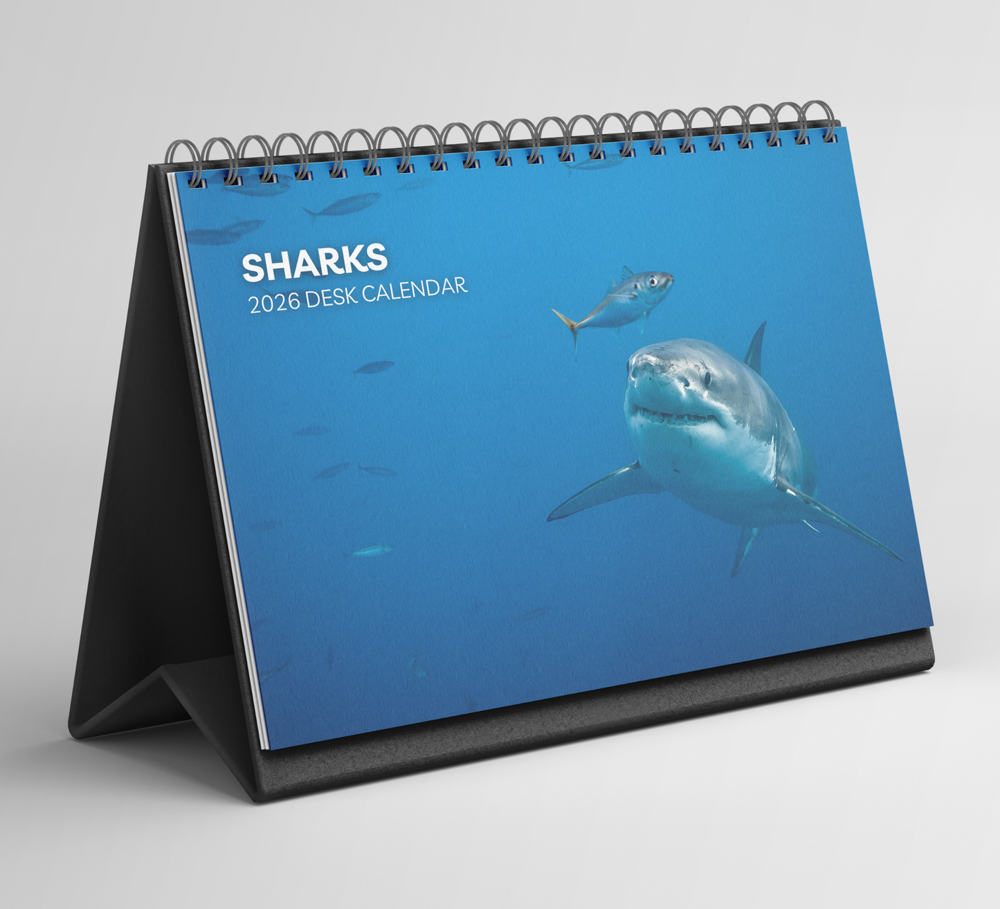 Shark Desk Calendar 2026-2027