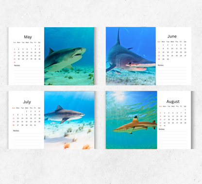 Shark Desk Calendar 2026-2027