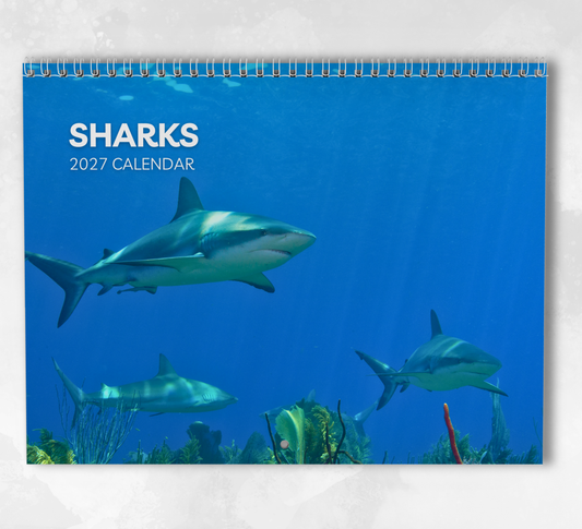Shark Calendar 2027