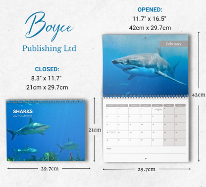 Shark Calendar 2027