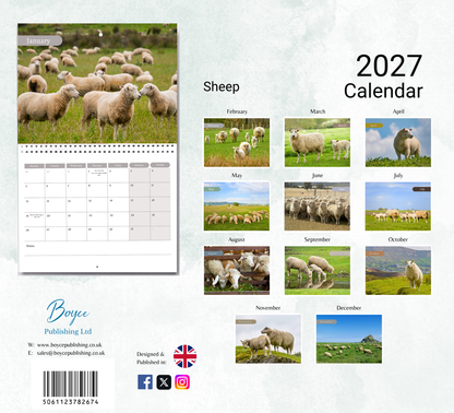 Sheep Calendar 2027