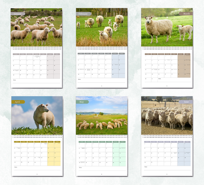 Sheep Calendar 2027