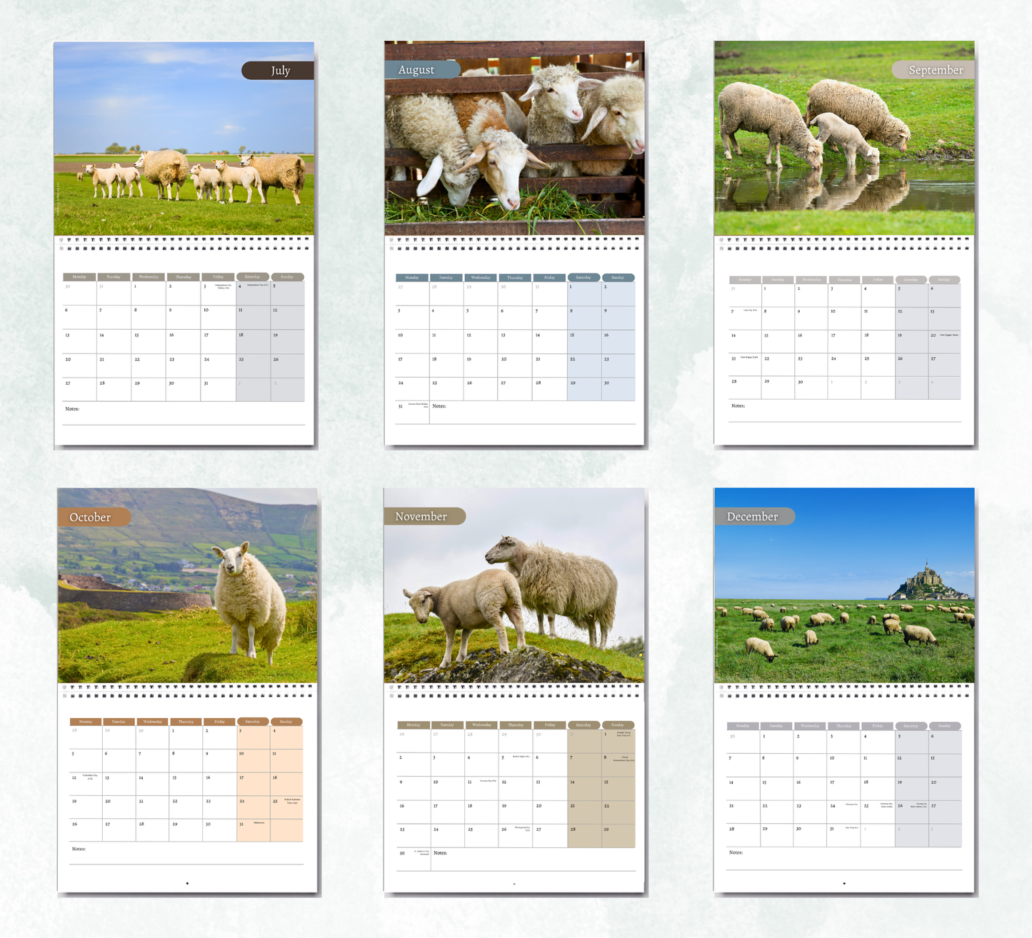 Sheep Calendar 2027
