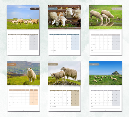 Sheep Calendar 2027