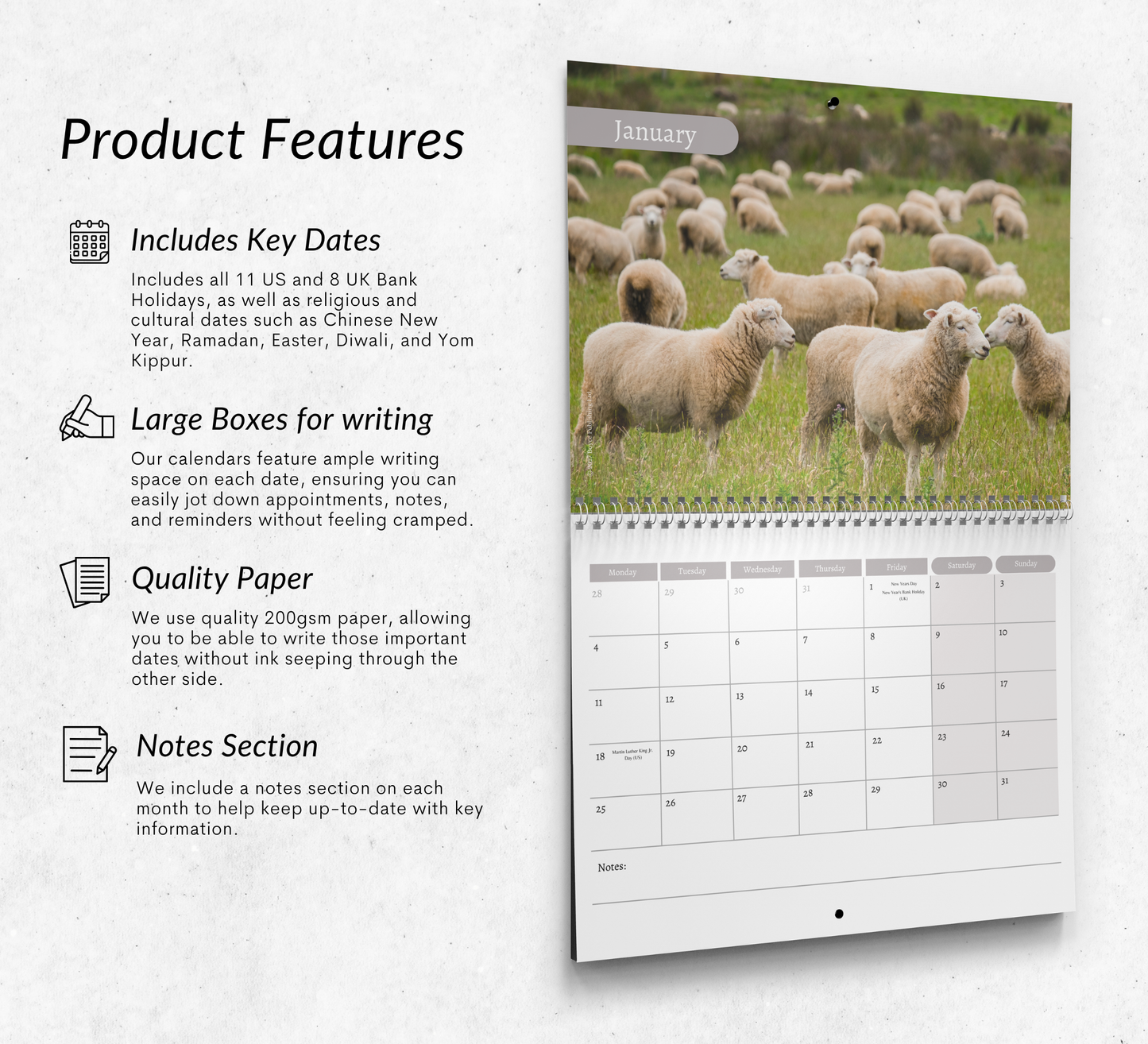 Sheep Calendar 2027